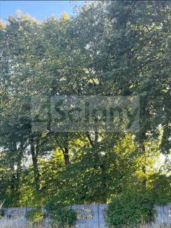 10118/3098/OGS - zdjęcie nr 5