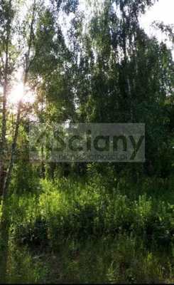8607/3098/OGS - zdjęcie nr 1