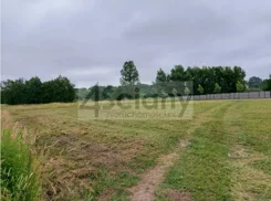 10442/3098/OGS - zdjęcie nr 1