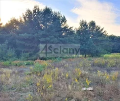 10369/3098/OGS - zdjęcie nr 2