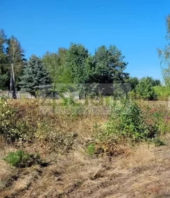 10369/3098/OGS - zdjęcie nr 3
