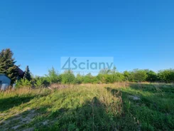 9243/3098/OGS - zdjęcie nr 2