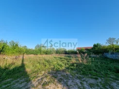 9243/3098/OGS - zdjęcie nr 3