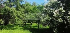10454/3098/OGS - zdjęcie nr 0