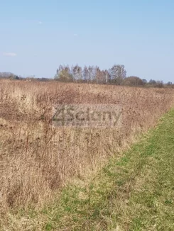 4304/3098/OGS - zdjęcie nr 3