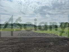 10332/3098/OGS - zdjęcie nr 1