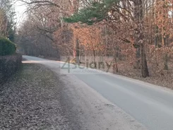 8578/3098/OGS - zdjęcie nr 1