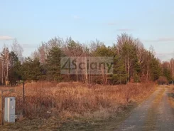 10435/3098/OGS - zdjęcie nr 3
