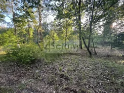 9810/3098/OGS - zdjęcie nr 0