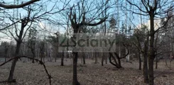 9810/3098/OGS - zdjęcie nr 5