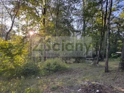 10084/3098/OGS - zdjęcie nr 4
