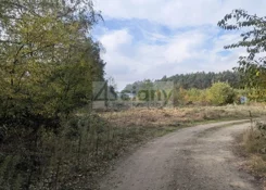 10410/3098/OGS - zdjęcie nr 4