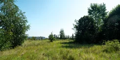 608287 - zdjęcie nr 1