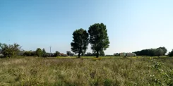 495972 - zdjęcie nr 2