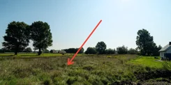 495972 - zdjęcie nr 3