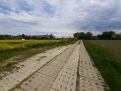 640486 - zdjęcie nr 4