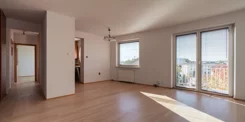 397792742 - zdjęcie nr 0