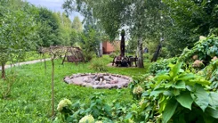 24432 - zdjęcie nr 2