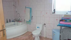 22491 - zdjęcie nr 3