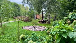 24429 - zdjęcie nr 4