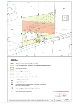 24565 - zdjęcie nr 4