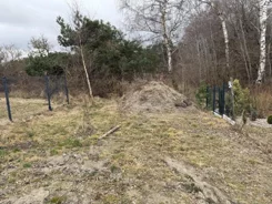 24848 - zdjęcie nr 3