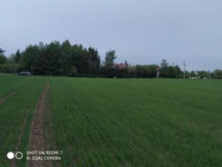 20475 - zdjęcie nr 3