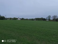 20475 - zdjęcie nr 4