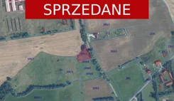 24367 - zdjęcie nr 2