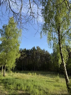 24823 - zdjęcie nr 1