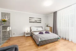 24583 - zdjęcie nr 2