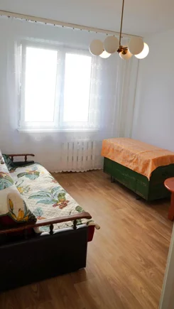 24816 - zdjęcie nr 3