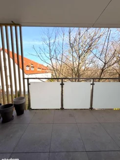 24856 - zdjęcie nr 4