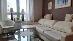 24855 - zdjęcie nr 3