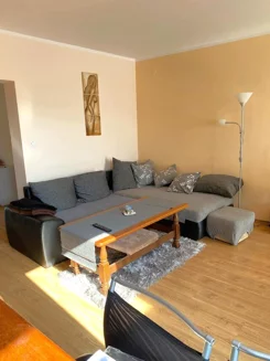 24597 - zdjęcie nr 2