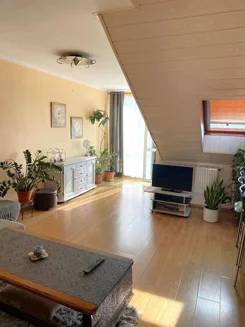 24597 - zdjęcie nr 3