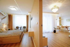 24542 - zdjęcie nr 4