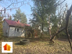 APO-DS-50864 - zdjęcie nr 3