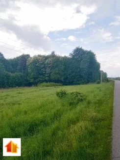 ASR-GS-48643 - zdjęcie nr 2