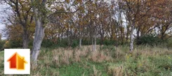 ASR-GS-51302 - zdjęcie nr 3