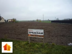 ASK-GS-46666 - zdjęcie nr 0