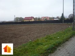 ASK-GS-46666 - zdjęcie nr 1