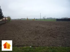 ASK-GS-46666 - zdjęcie nr 2