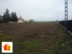 ASK-GS-46666 - zdjęcie nr 3