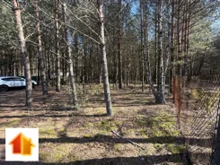 10-GS-FYsfc4UjoL - zdjęcie nr 2