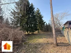 94-GS-FYsfc4UjoL - zdjęcie nr 2