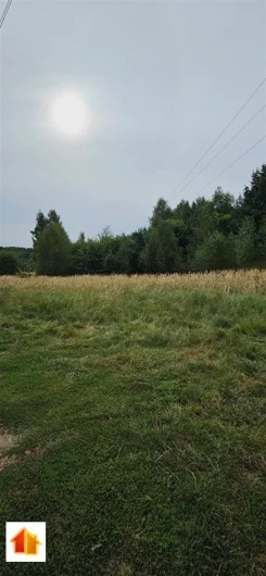 AP1-GS-49289 - zdjęcie nr 1