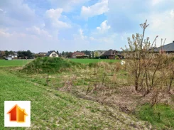 84-GS-FYsfc4UjoL - zdjęcie nr 3
