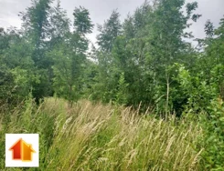 APO-GS-50638 - zdjęcie nr 3