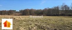 AP1-GS-51488 - zdjęcie nr 1